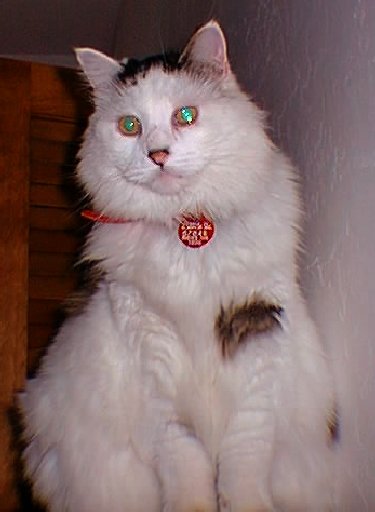 Felix